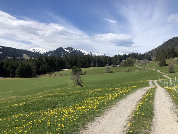 Mountainbike Kurse & Touren mit HörnerLiebe