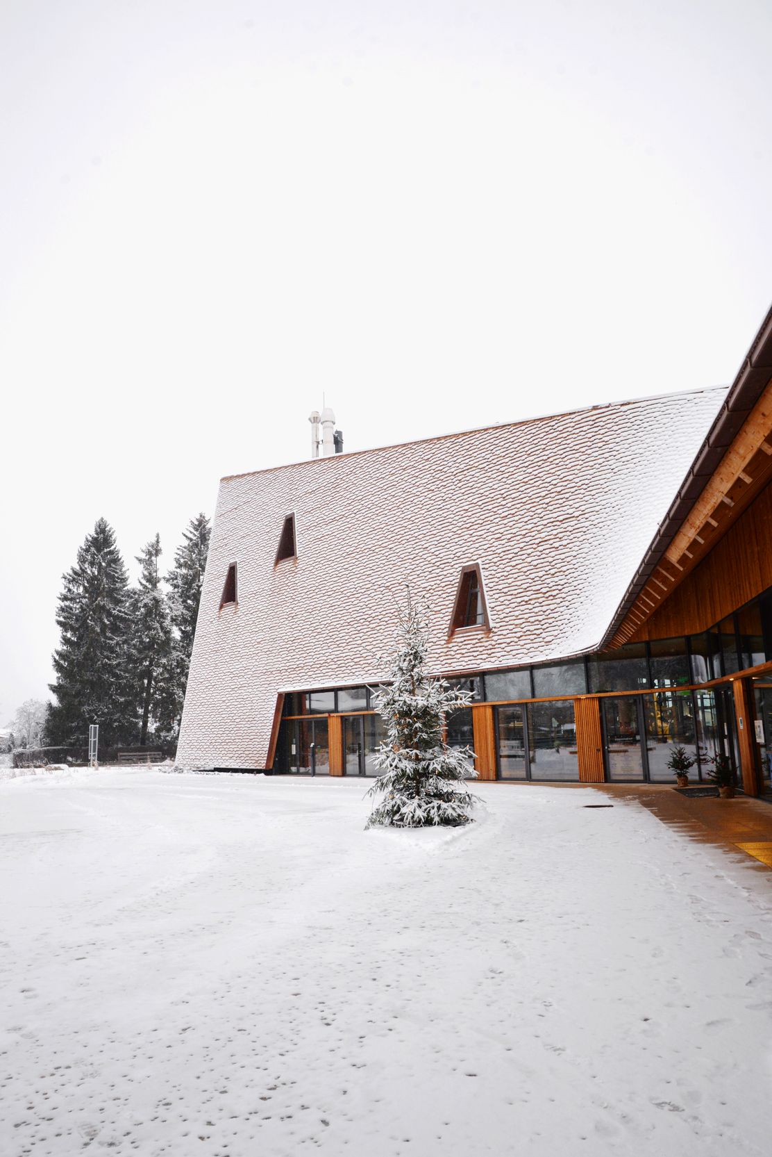Weihnachtsmarkt in der Rapunzel Welt
