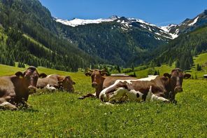 Unser Allgäu