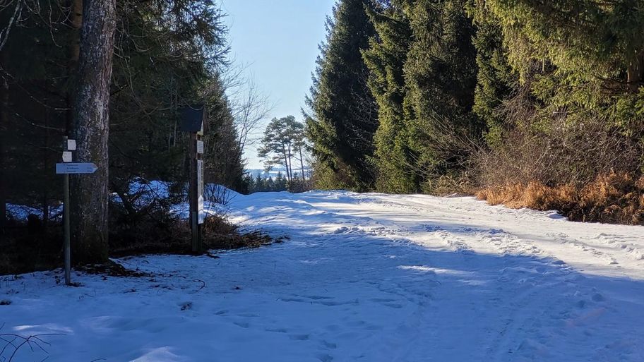 Vogellehrpfad Friesenried