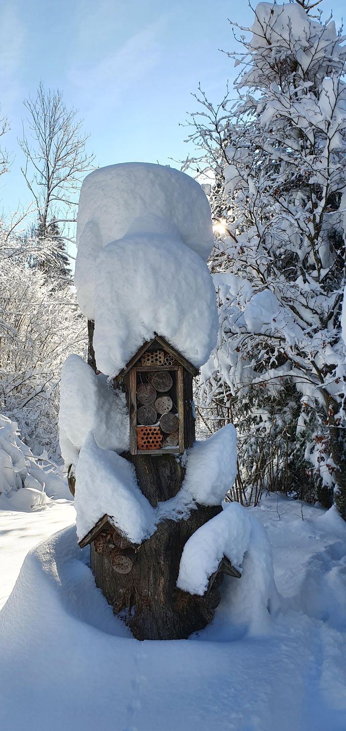 Hasengartenweg im Winter 3