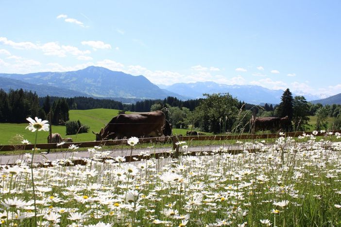 Herrliche Aussicht