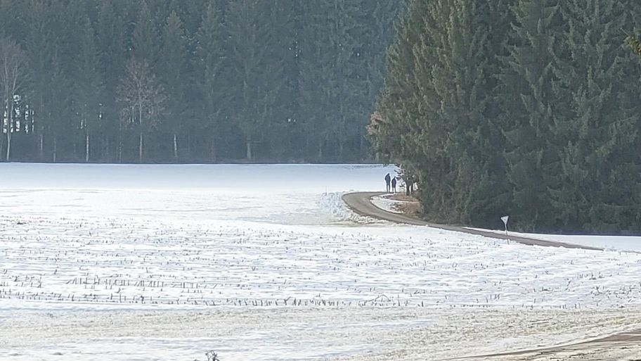 Wiesenweg zum Elbsee und zurück