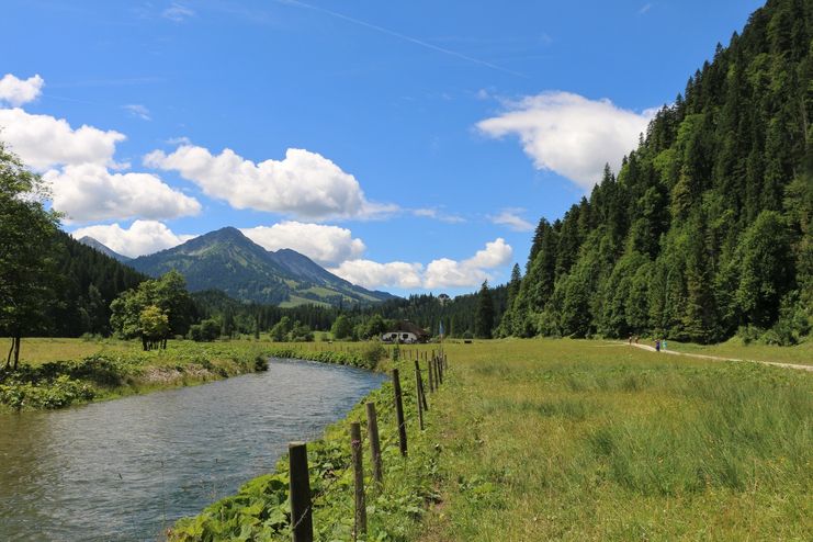 Kalbelehof Alpe im Vilstal