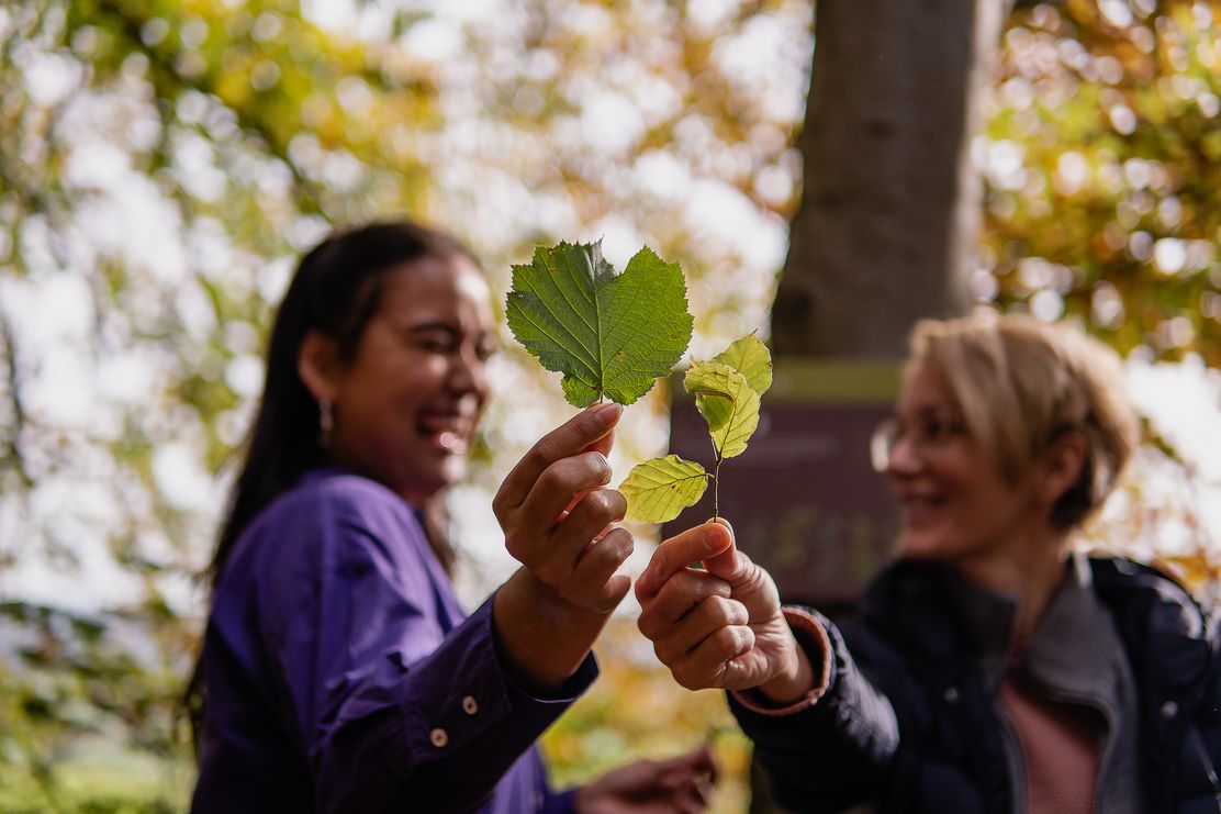 Green Option im Panoramahotel Oberjoch