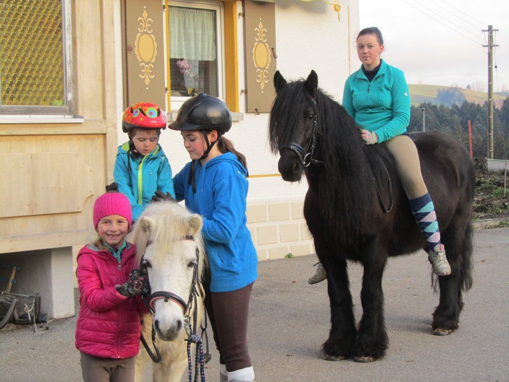 Ausritt mit den Ponys