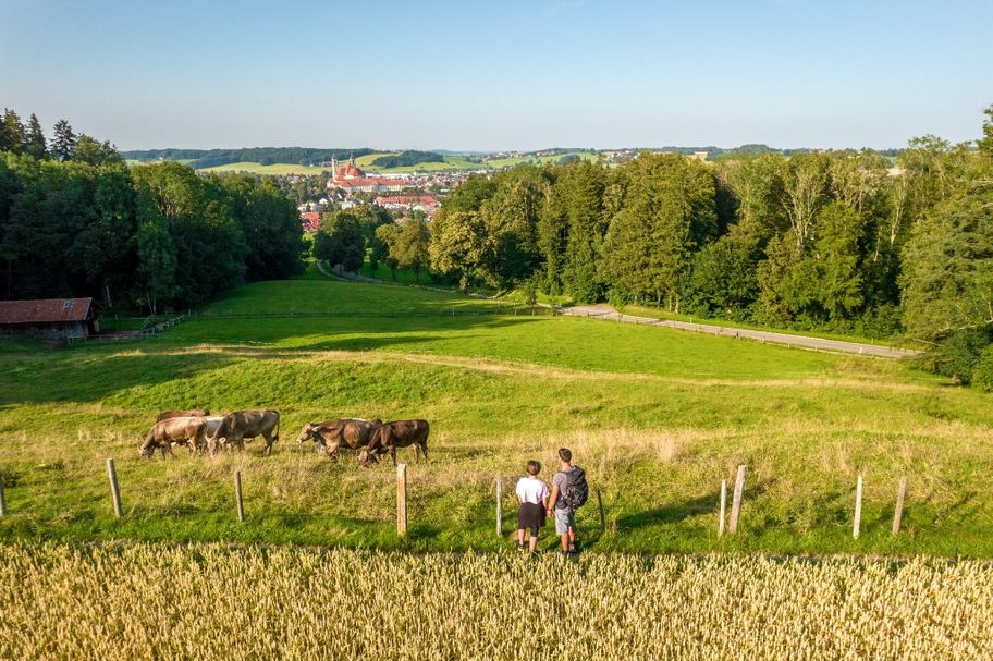 Aussicht am Konohof auf Ottobeuren