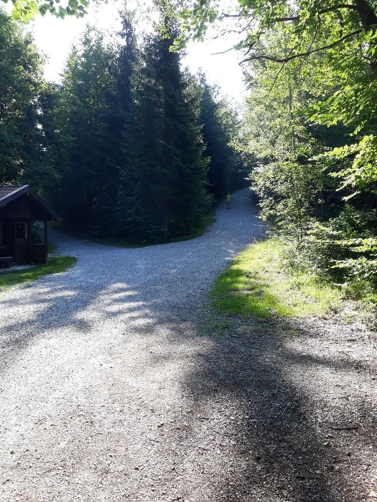 Weggabelung zum Burkenbichl