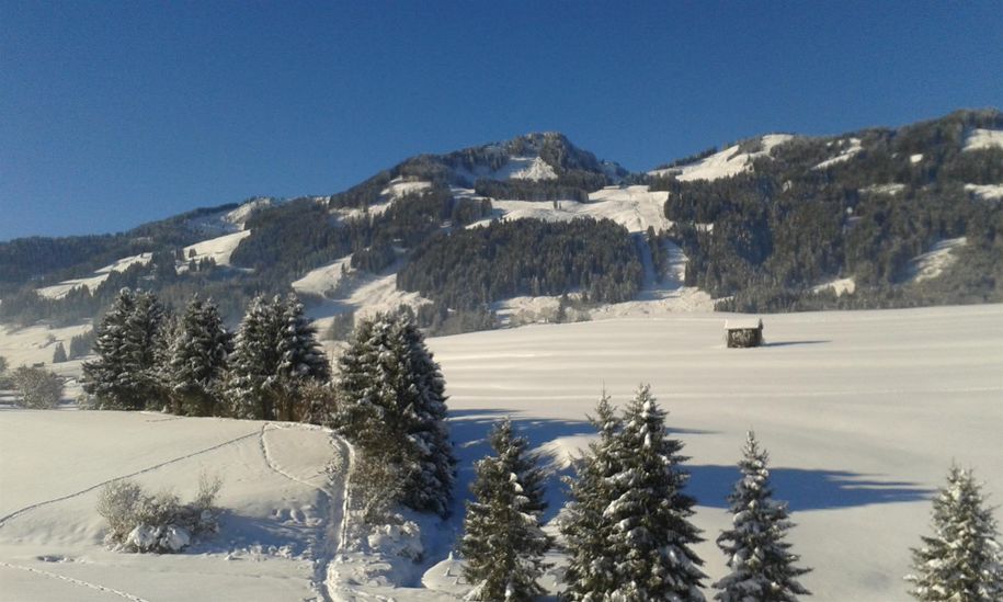 Winterausblick