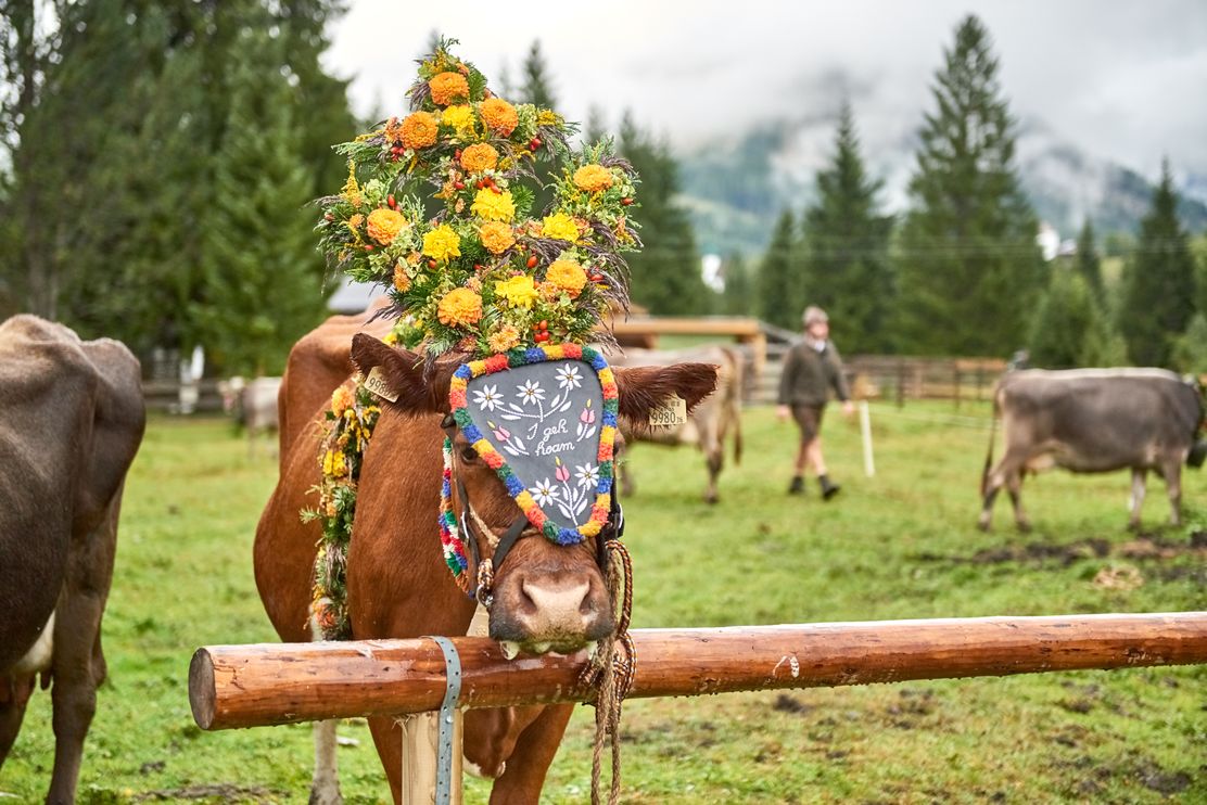 Meurers_Herbst_2017_0533