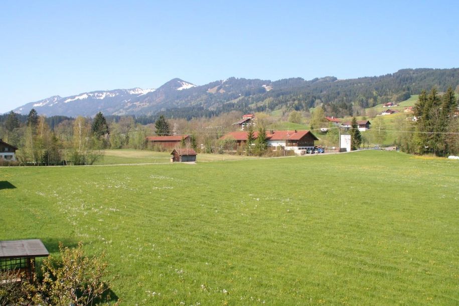 Aussicht von der Wohnung im Sommer