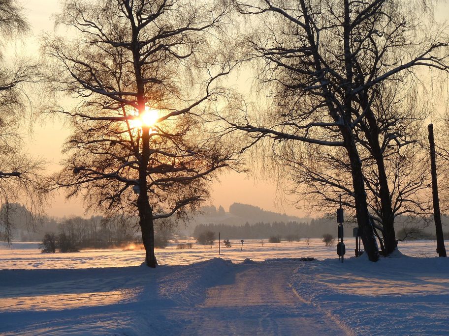 Der Wintersonne entgegen. Wandern im Naturschutzgebiet Bodenmöser (Rotmoos)
