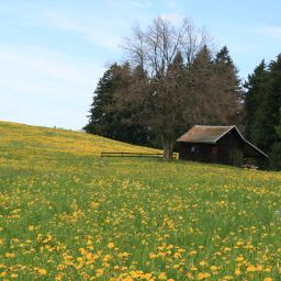 Bild 10