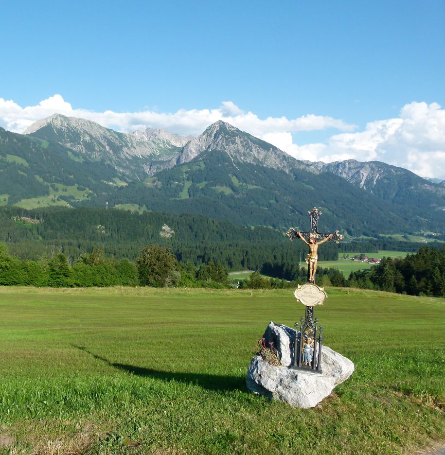 Blick vom Garten