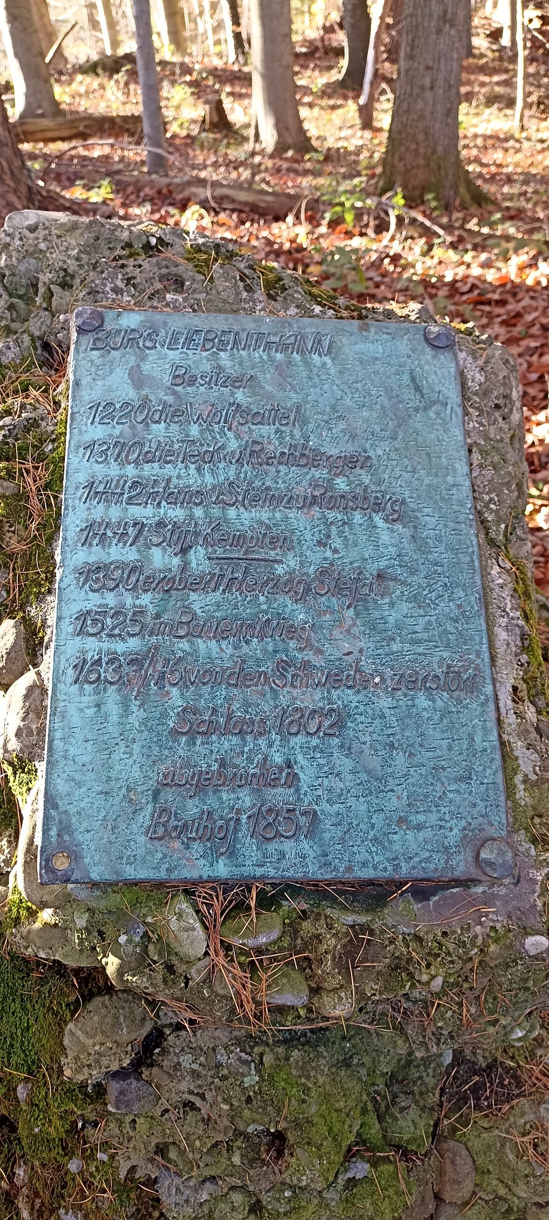 Burg Liebenthann_Brust