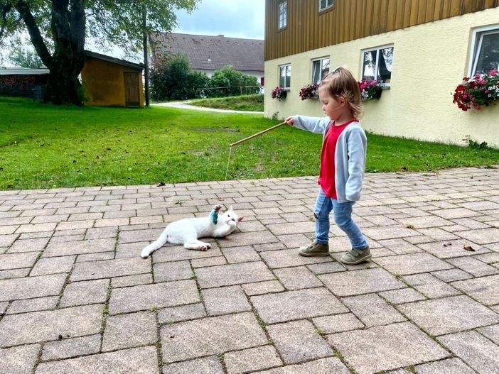 Kind spielt mit Kätzchen