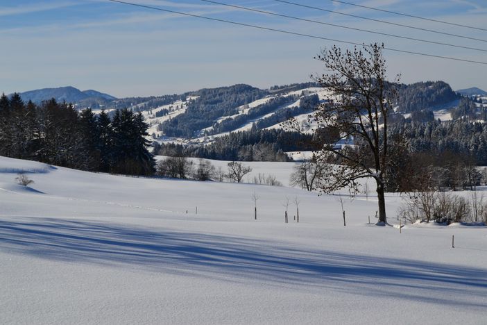 Blick von der Ferienwohnung