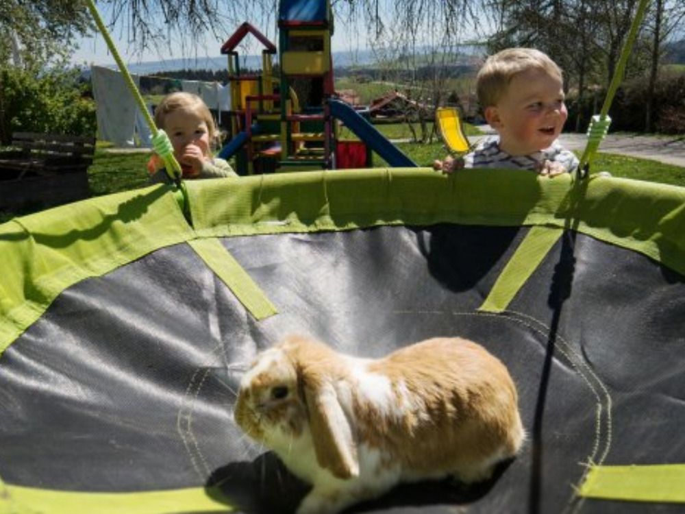 Eigentlich ist die Nestschaukel ja fÃ¼r die GÃ¤stekinder