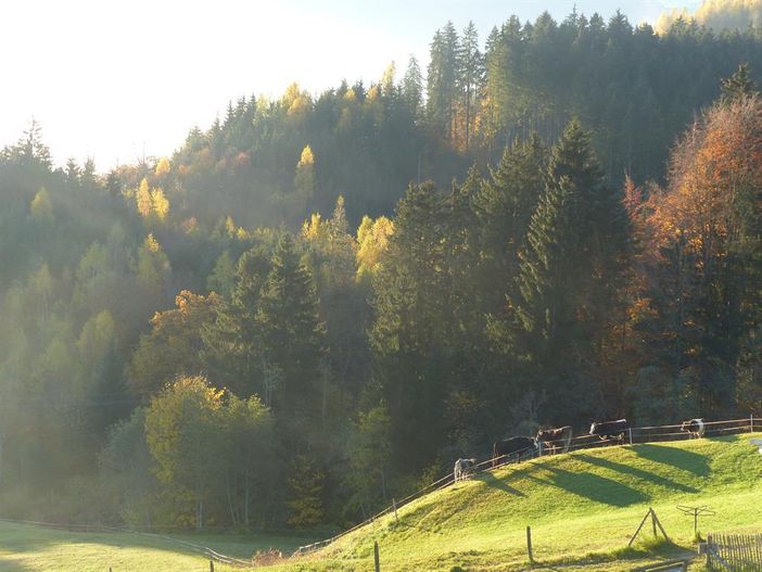 goldener Oktober