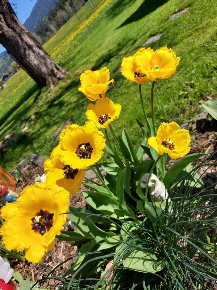Der Frühling ist da