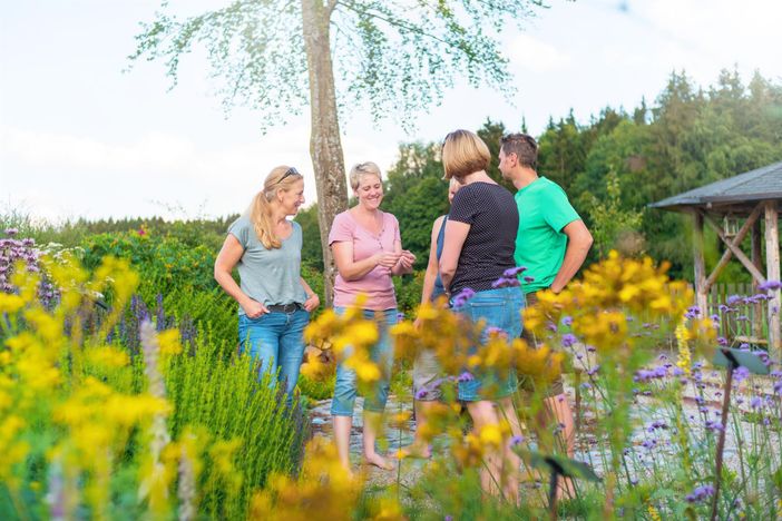 Kräuter in meinem Garten