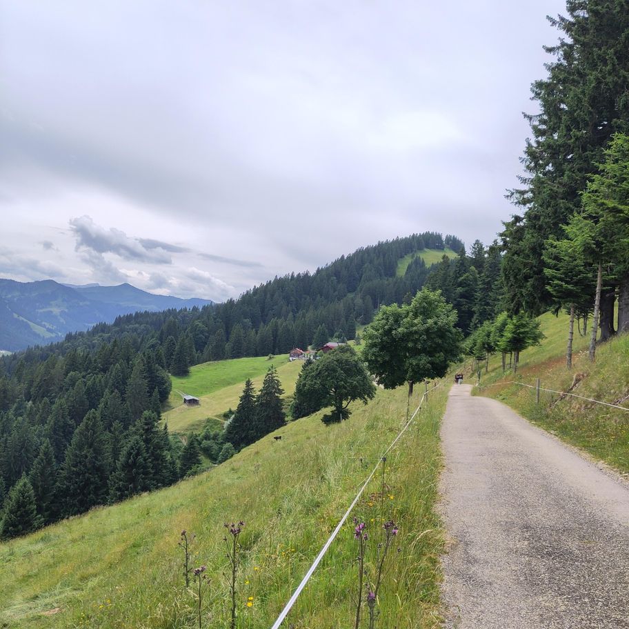 Immenstadt - Alpwirtschaft erleben