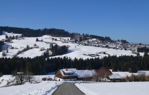 Aussicht Richtung Oberreute/Irsengund