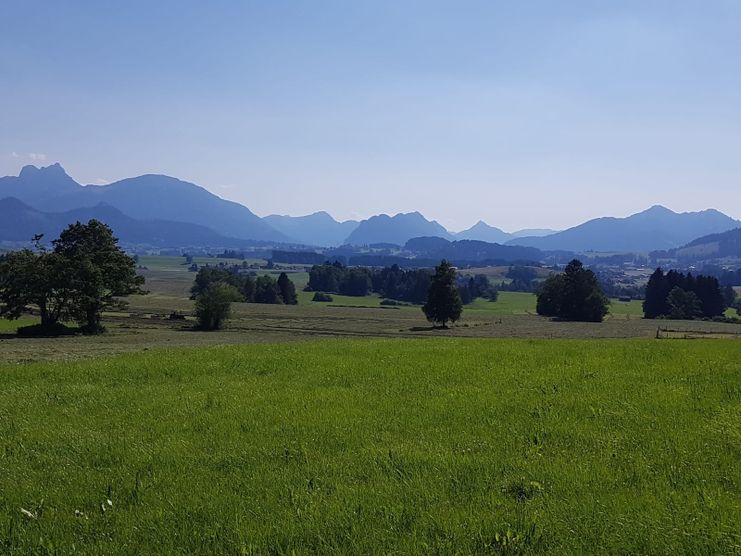 Blick auf das Voralpenland