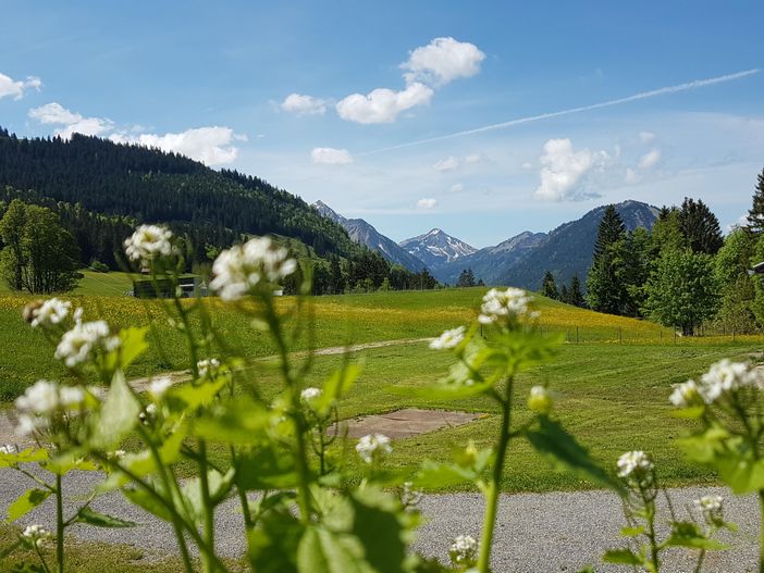 Blick in die Berge Terrasse Schönblick