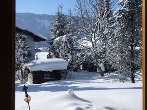 Garten im Winter