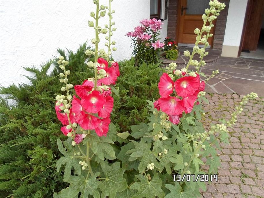 Hauszugang