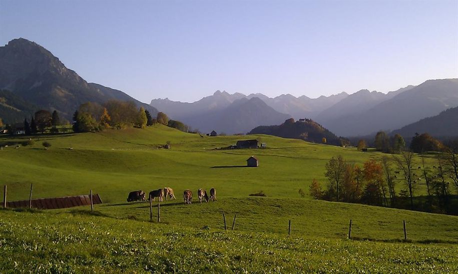 Umgebung