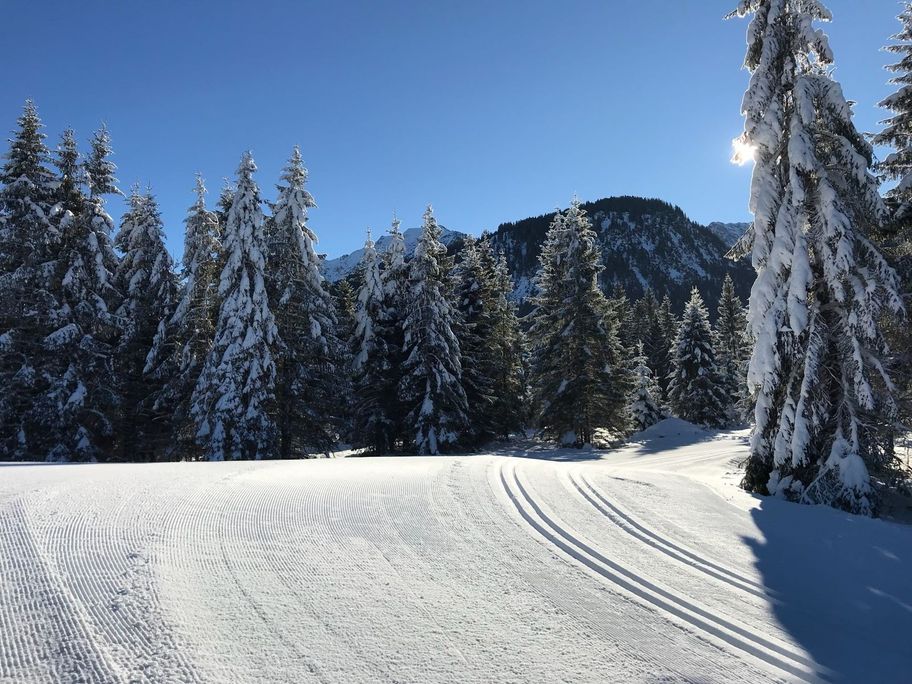 Beschneite Loipe Haldensee - große Runde