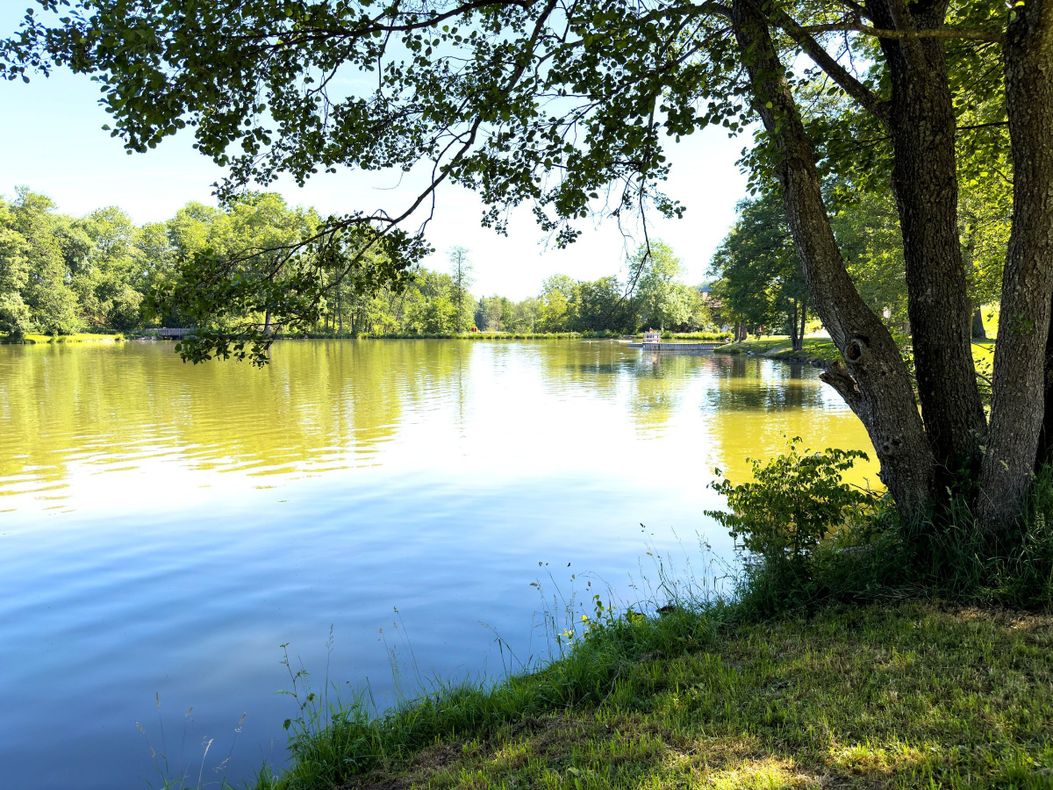 Ruhe am Weiher