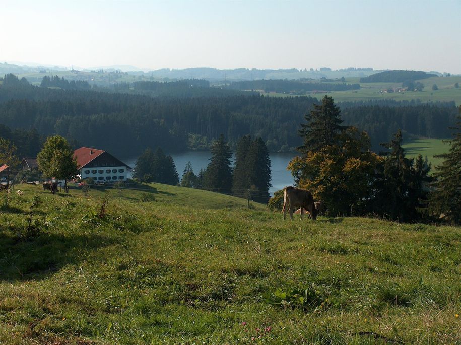 Alpe Köglhof