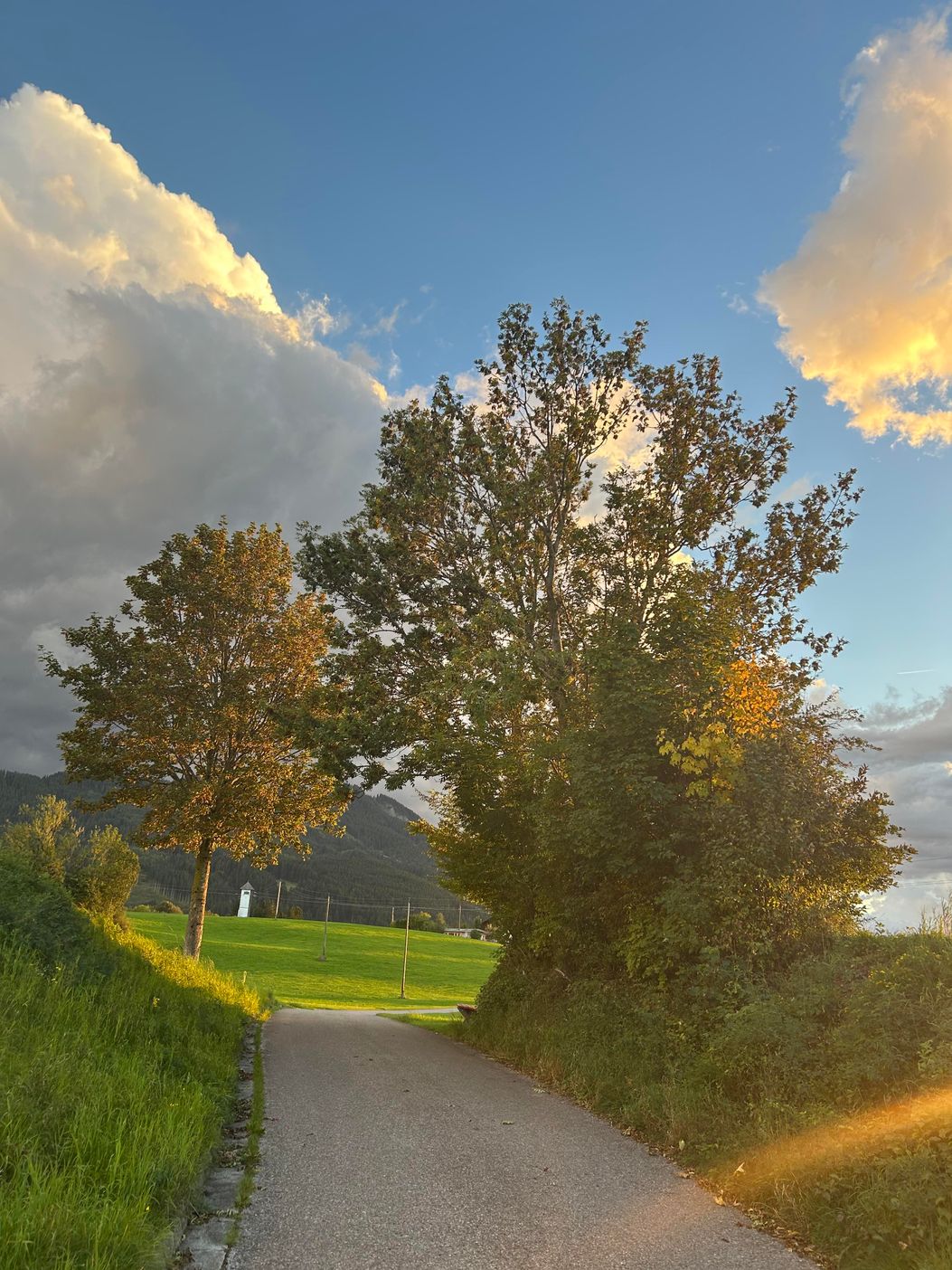 Stimmungsvoller Herbst