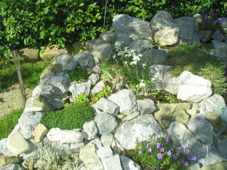 Bild vom Steingarten im Hof