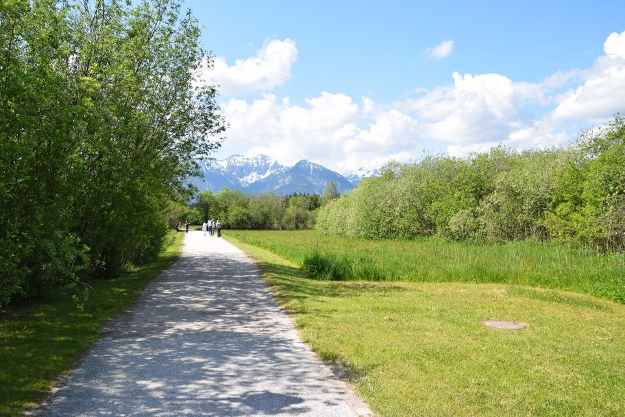Wanderweg bei Hopfen am See im Allgäu