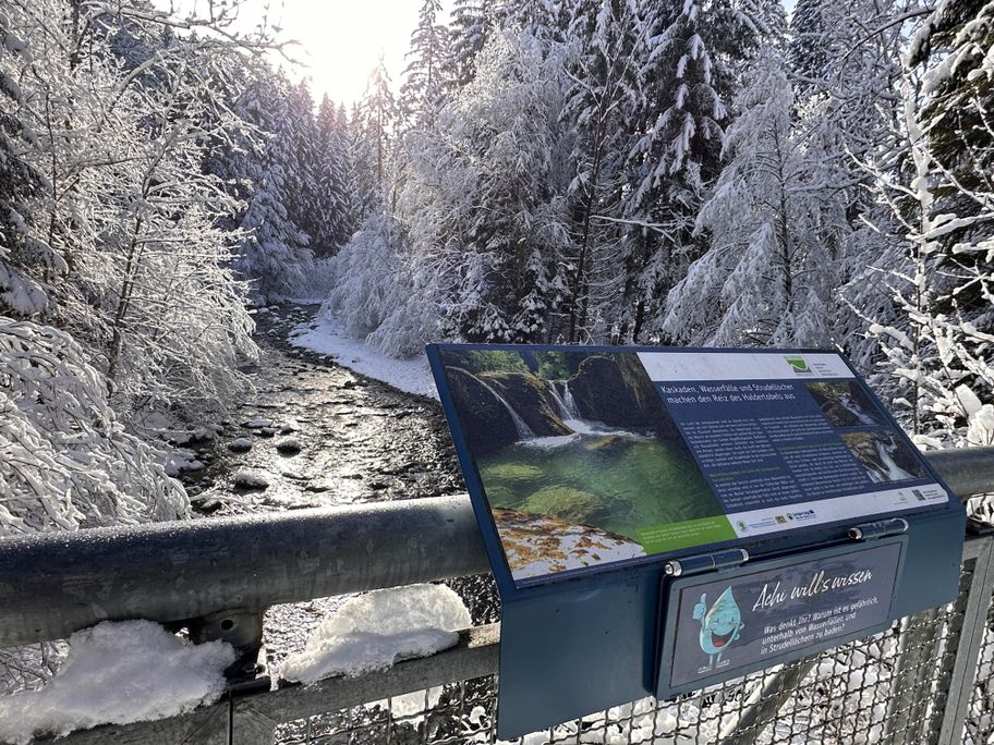 Winterwanderung durch den Haldertobel