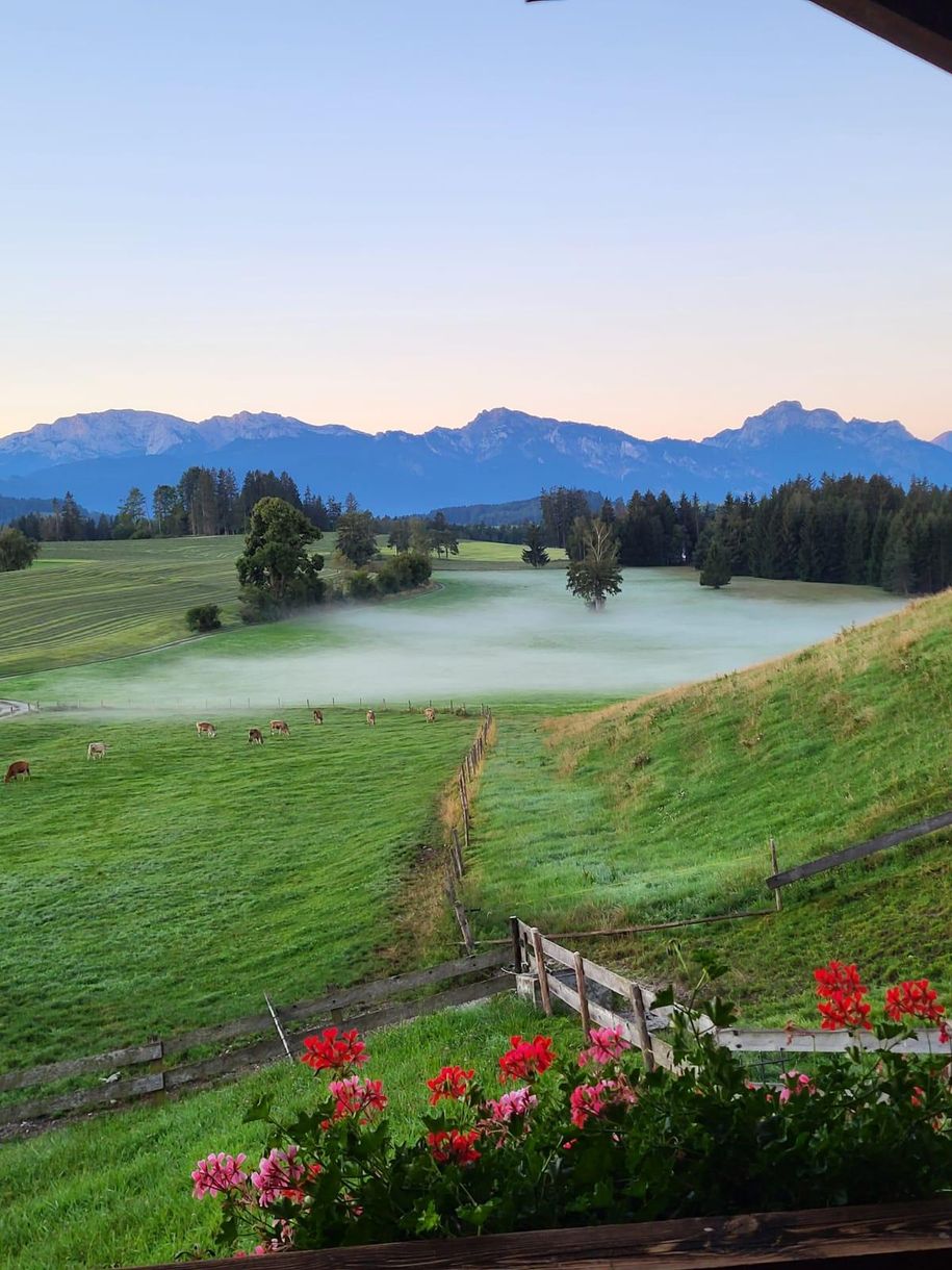 Aussicht vom Balkon