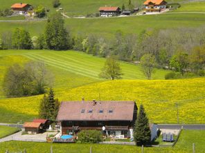 Frühling