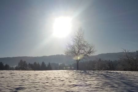 Unsere Wiesen im Winter