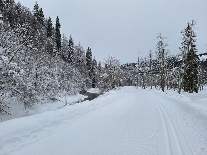 Loipe-Balderschwang-Bolgenach
