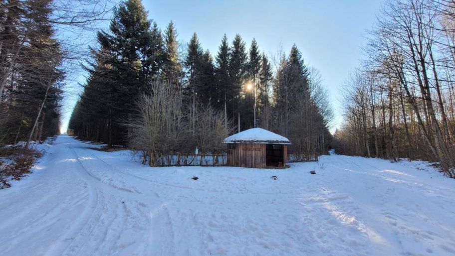 Vogellehrpfad Friesenried