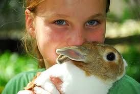 hasen2