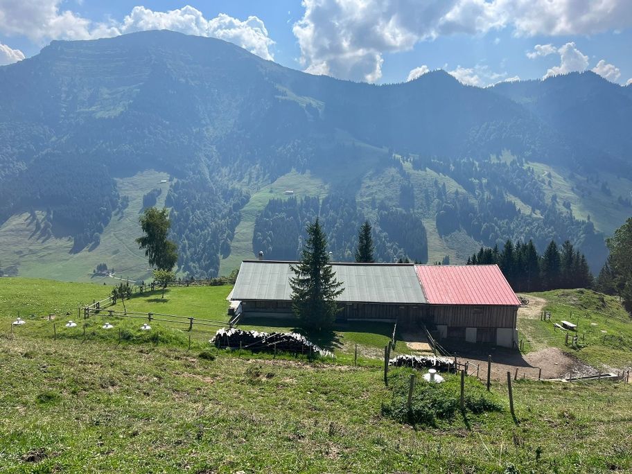 Prodel Alpe vor dem Hochgrat