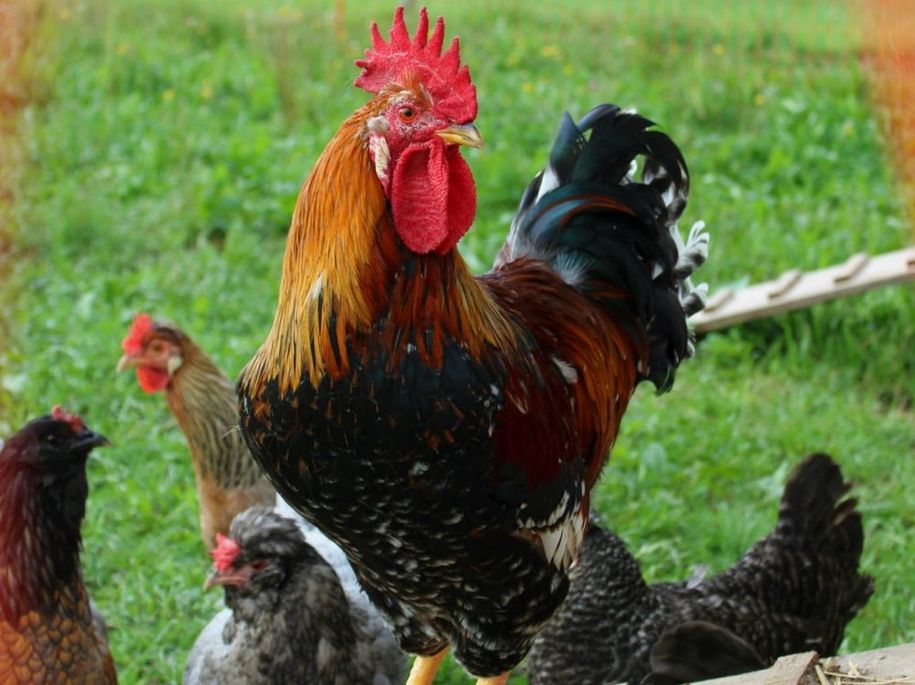 f82c6b31-41d2-4ee3-b53f-3616dda56ca3481140