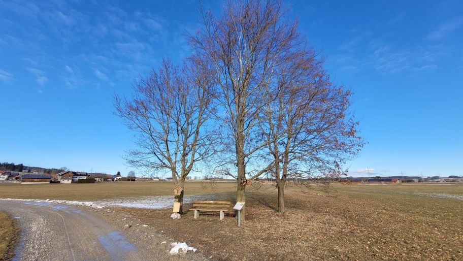 Rundtour über die Bergmang Alpe