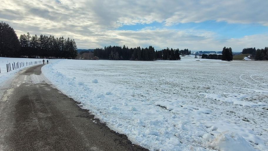 Wiesenweg zum Elbsee und zurück