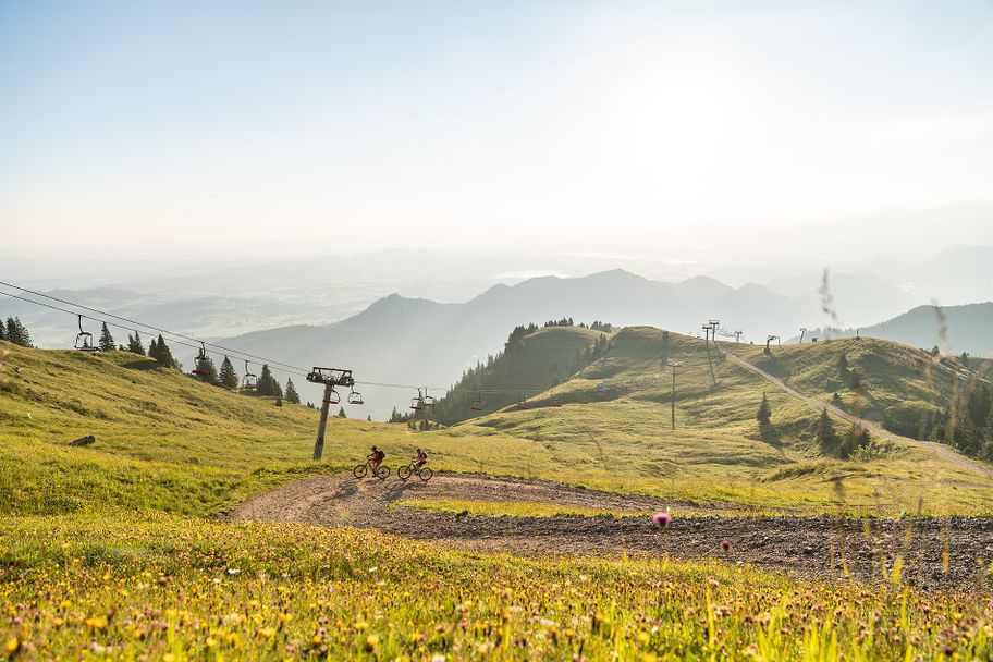 Hochalpe auf dem Breitenberg